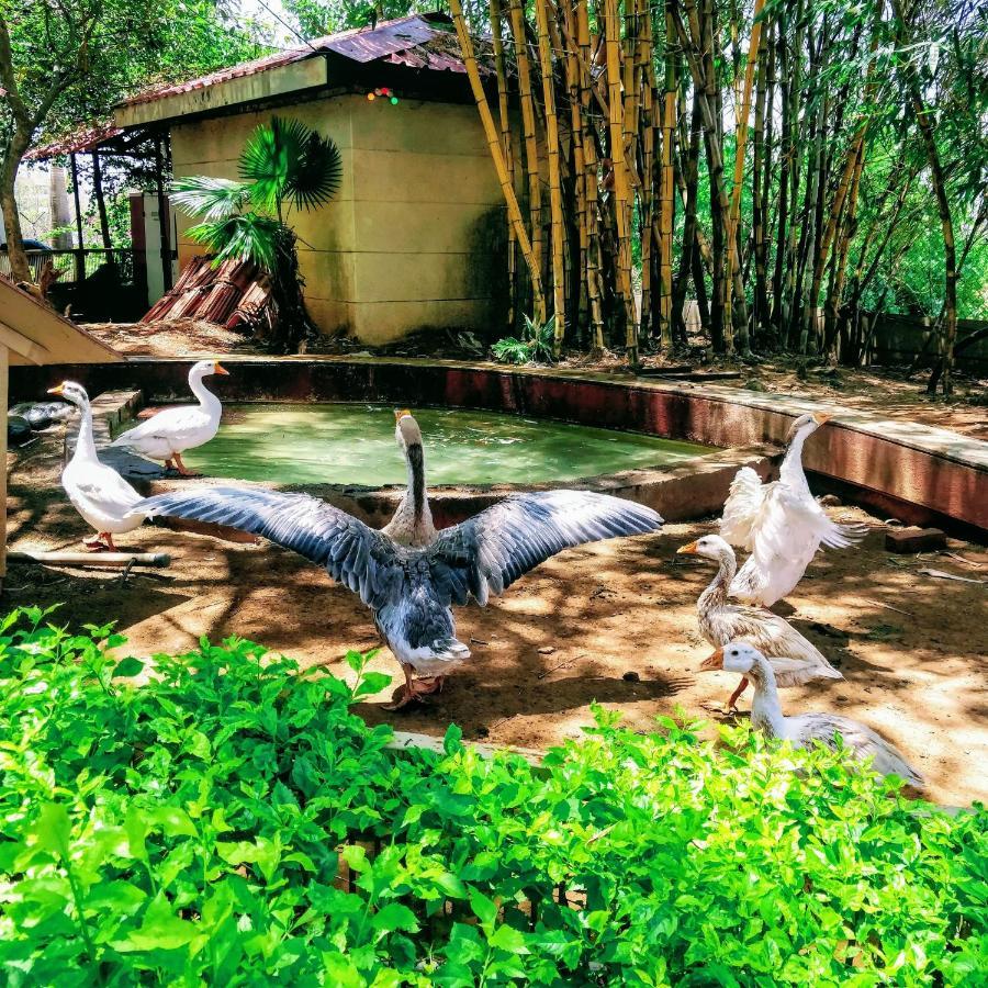 Dew Drops Boutique Retreat Igatpuri Exterior foto